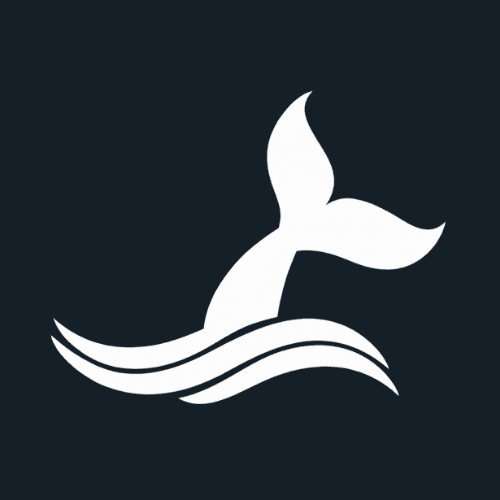 ORCA Teknoloji Ekibi